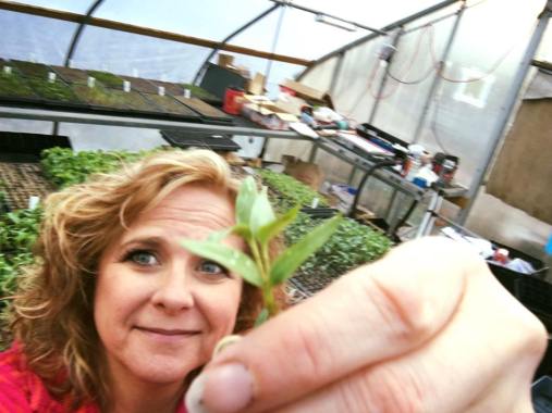 Me potting up pepper plants.